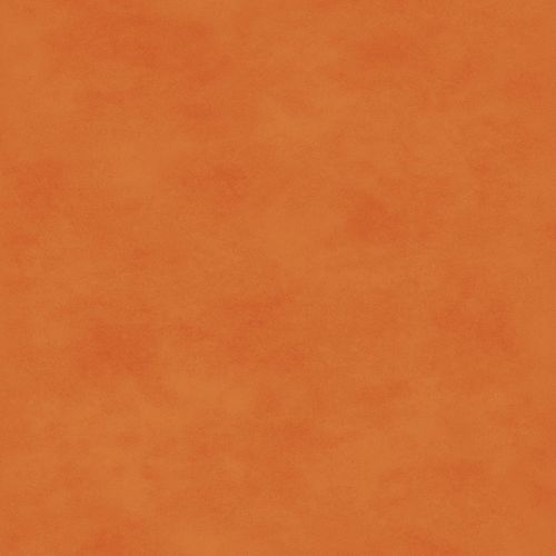 Shadow Play Maywood Studio Tangerine Tonal Orange