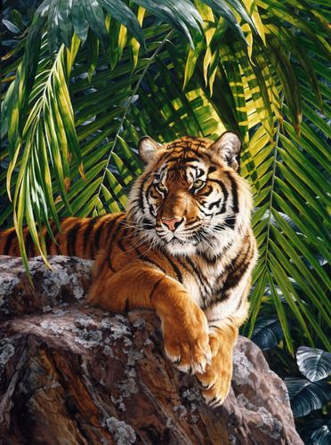 Panel Jungle Queen Tiger Panel Größe 85 x 110 cm